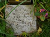 image of grave number 457443